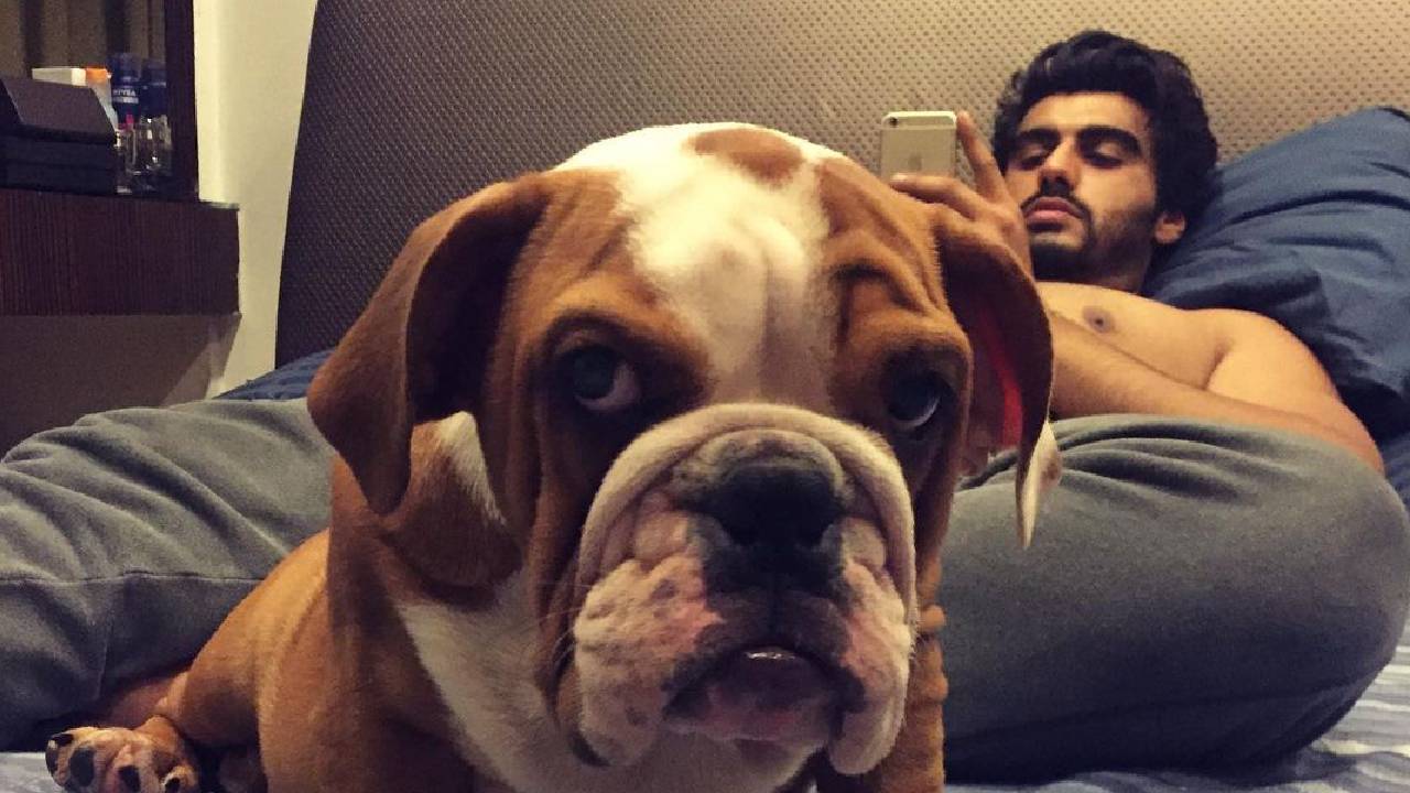 अर्जुन कपूर ने पेट डॉग को याद कर शेयर किया इमोशनल मैसेज