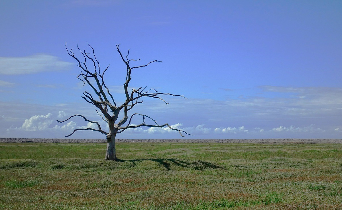 Climate Change's Strongest Effects Felt In Nations With The Least Emissions: Report