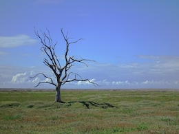भारत को COP28 में जलवायु वित्त पोषण पर स्पष्ट रूपरेखा बनने की उम्मीद : विनय क्वात्रा भारत को COP28 में जलवायु वित्त पोषण पर स्पष्ट रूपरेखा बनने की उम्मीद : विनय क्वात्रा