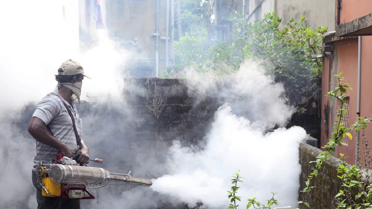 Kota में Dengue के Case में हुई बढ़ौतरी, अन्य की तुलना में D2 स्ट्रेन सबसे घातक