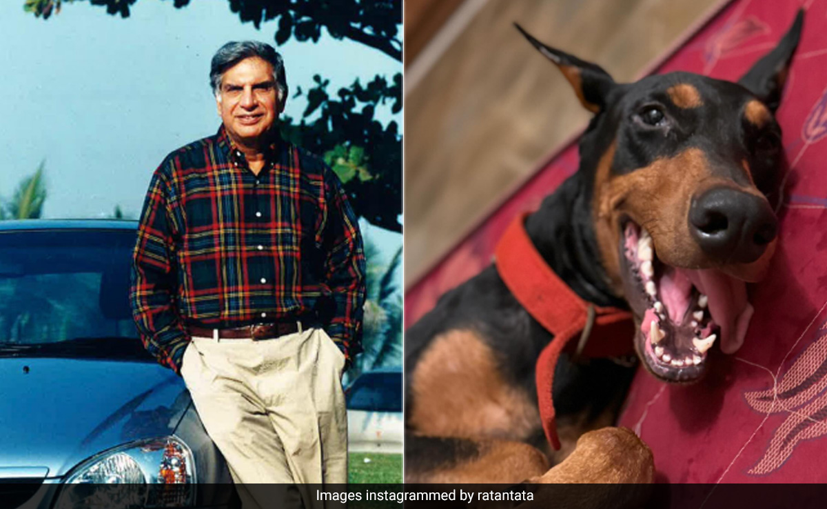 Ratan Tata Appeals For An Abandoned Dog In Mumbai, Shares Post