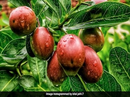 यह छोटी सी लाल और पीली दिखने वाली सब्जी अगर हफ्ते में 2 बार खाएंगे तो वजन होगा कम और स्किन करेगी ग्लो यह छोटी सी लाल और पीली दिखने वाली सब्जी अगर हफ्ते में 2 बार खाएंगे तो वजन होगा कम और स्किन करेगी ग्लो