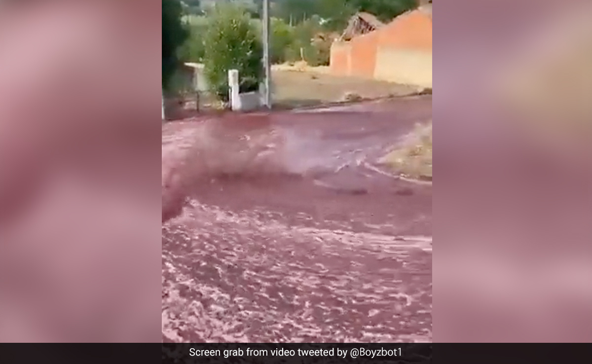 इस शहर में नदी की तरह सड़कों पर बही 22 लाख लीटर Red Wine, Video देख नहीं होगा यकीन