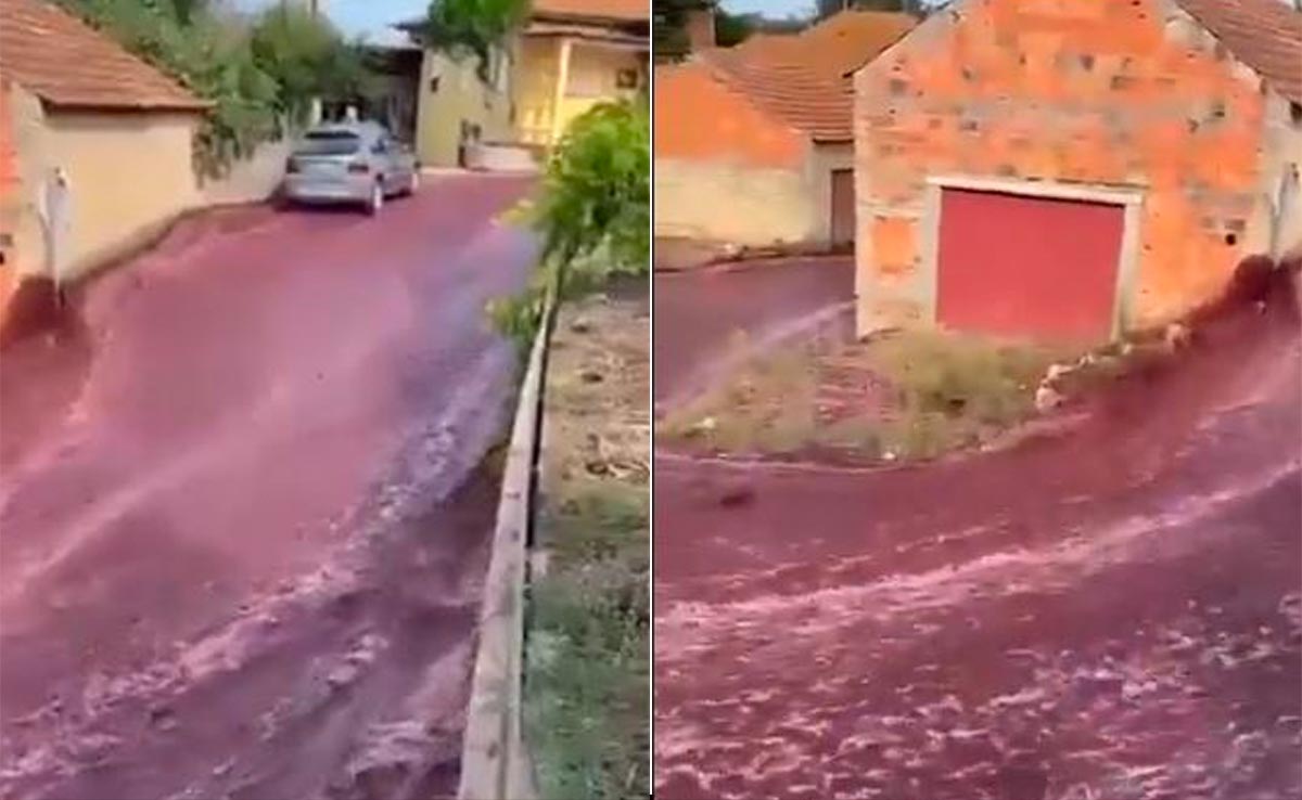 Portuguese Town's Streets Turn Red With Wine After Distillery Accident, X Reacts