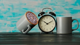 Circadian Fasting: How Syncing Meals With Your Bodys Natural Clock Could Improve Metabolic Health