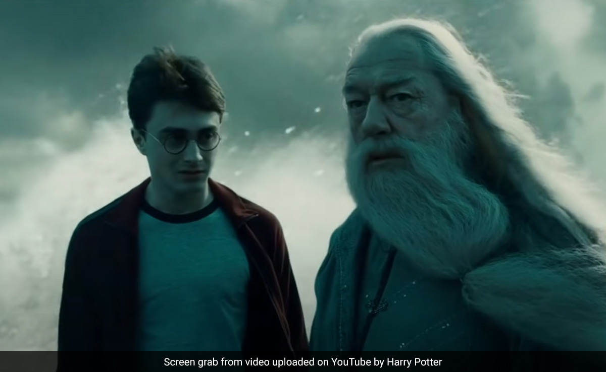 Daniel Radcliffe Remembers Michael Gambon, Dumbledore From <i>Harry Potter</i> Films. It's OK To Cry
