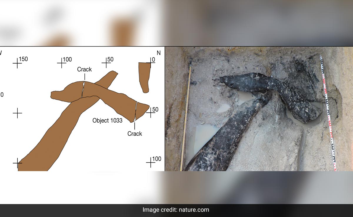 500,000-Year-Old Wooden Structure In Africa Stuns Experts. Here's Why