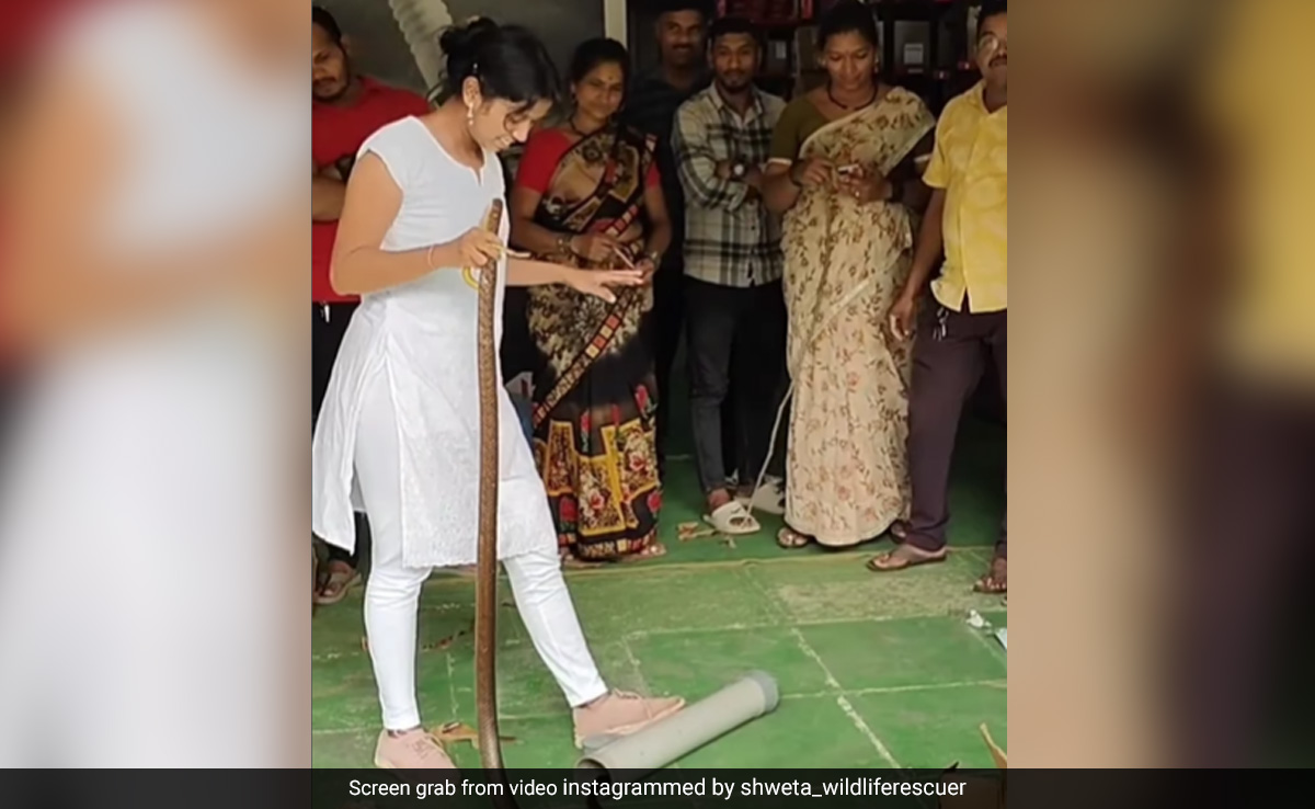 Watch: Woman Rescues Snake With Bare Hands, Video Goes Viral