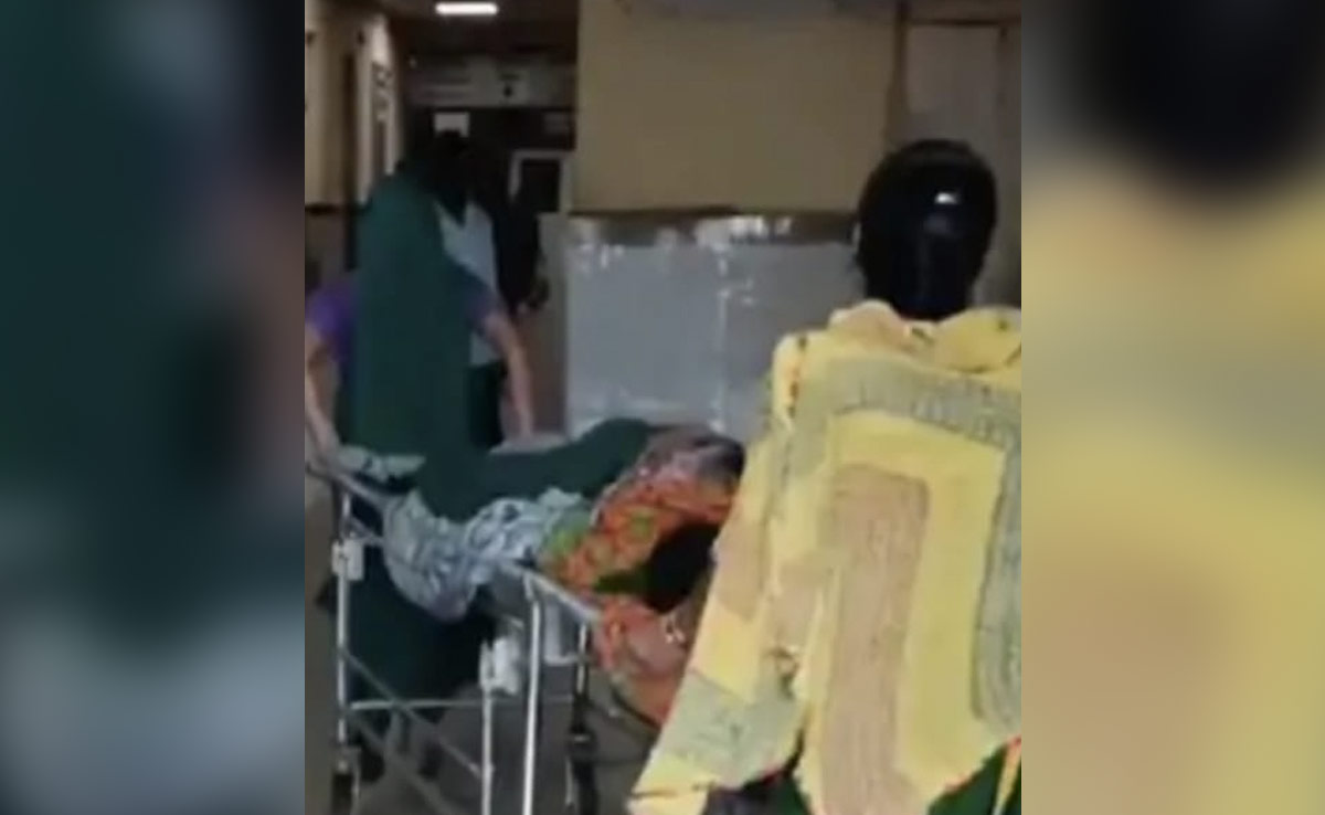 जिस जंगल में गूंजती है तेंदुए की दहाड़, वहां लिया बच्चे ने जन्म... एंबुलेंस से अस्पताल जा रही थी प्रसूता