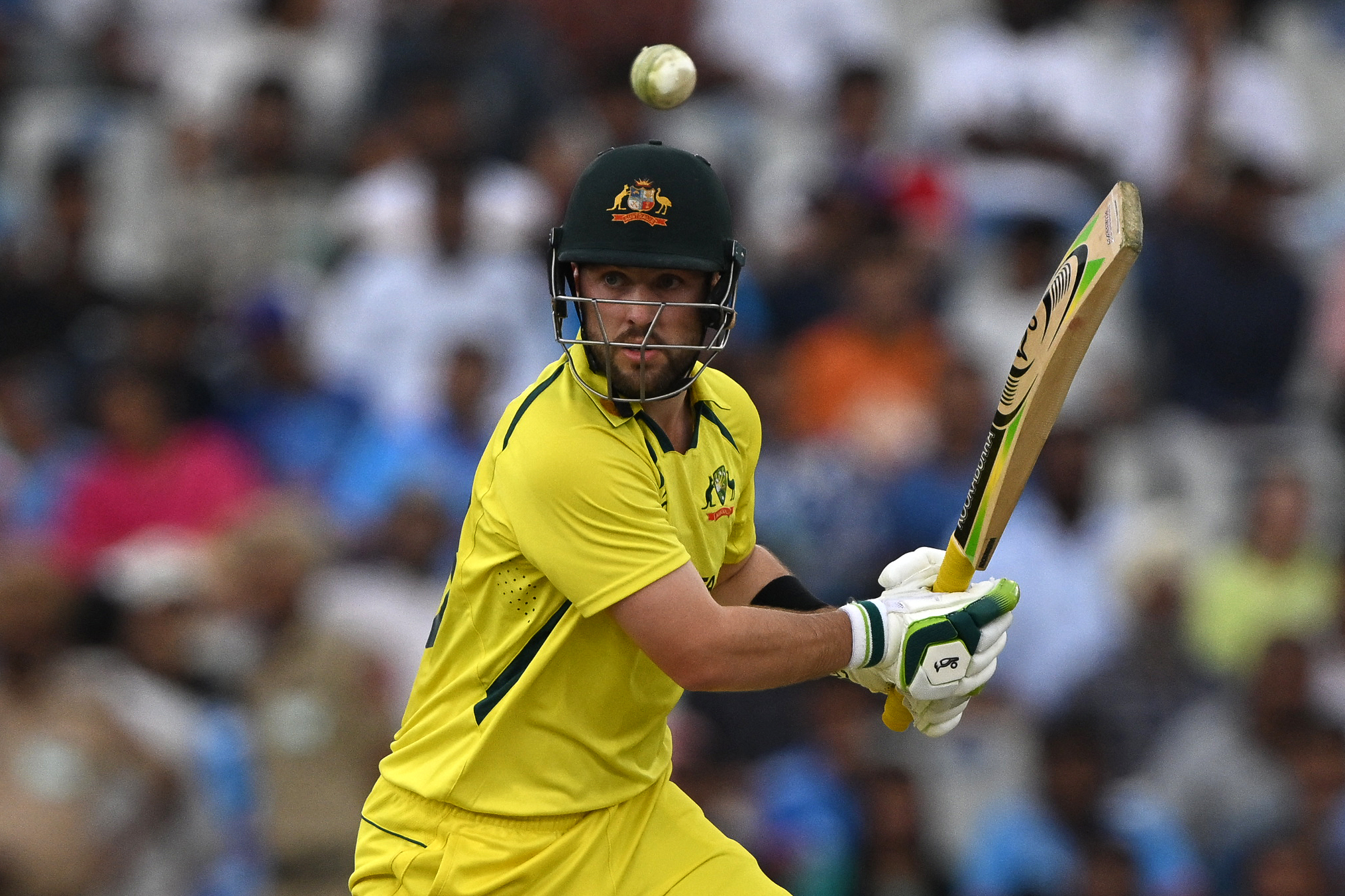 Can Only Play 4 Games: Aus Star Enters IPL Auction With Clear Declaration
