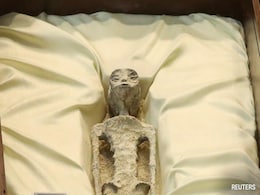 Tests Carried Out on Mexico's 'Alien Bodies': ''No Evidence Of Manipulation Of Skulls'' Tests Carried Out on Mexico's 'Alien Bodies': ''No Evidence Of Manipulation Of Skulls''