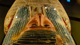 3,000-Year-Old Mummy With Bubonic Plague DNA Challenges Black Deaths Origins