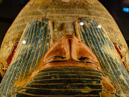 3,000-Year-Old Mummy With Bubonic Plague DNA Challenges Black Deaths Origins