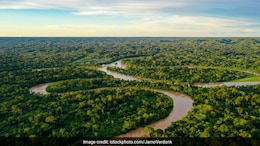 "Our Territories Are Not For Sale": Indigenous Groups In Brazil On Government Selling Carbon Credits