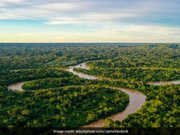 "Our Territories Are Not For Sale": Indigenous Groups In Brazil On Government Selling Carbon Credits "Our Territories Are Not For Sale": Indigenous Groups In Brazil On Government Selling Carbon Credits