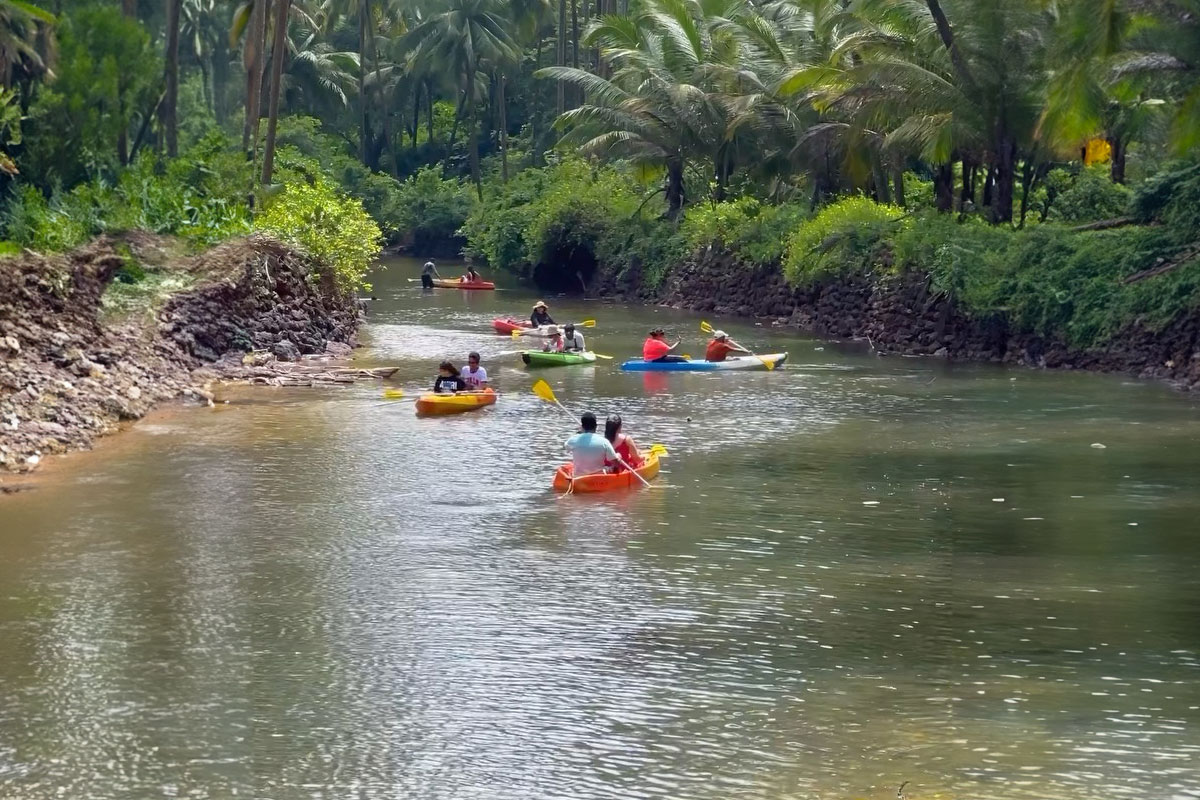 Hidden Gem Alert: Kayaking Adventures at Cola Beach, Goa