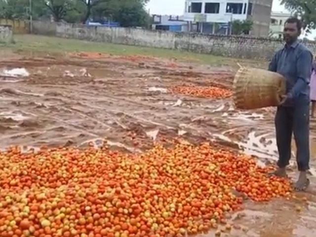 Tomatoes At Rs 4 Per Kg In Andhra's Kurnool