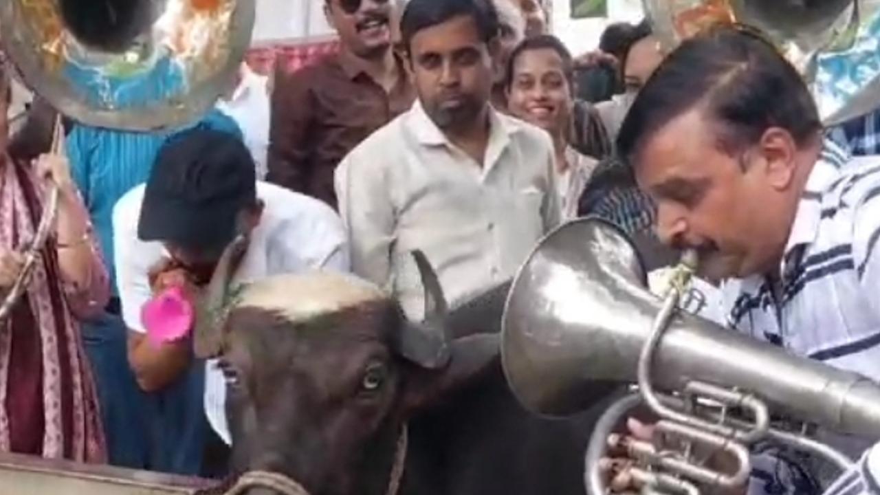 Madhya Pradesh के Ratlam में पटवारियों का अनोखा प्रदर्शन, सरकार से Grade pay बढ़ाने की है मांग