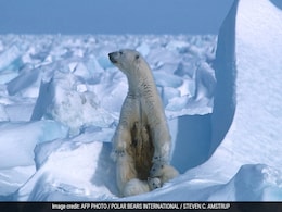 Biden Bars New Oil And Gas Drilling In Vast Region Of Alaska Biden Bars New Oil And Gas Drilling In Vast Region Of Alaska