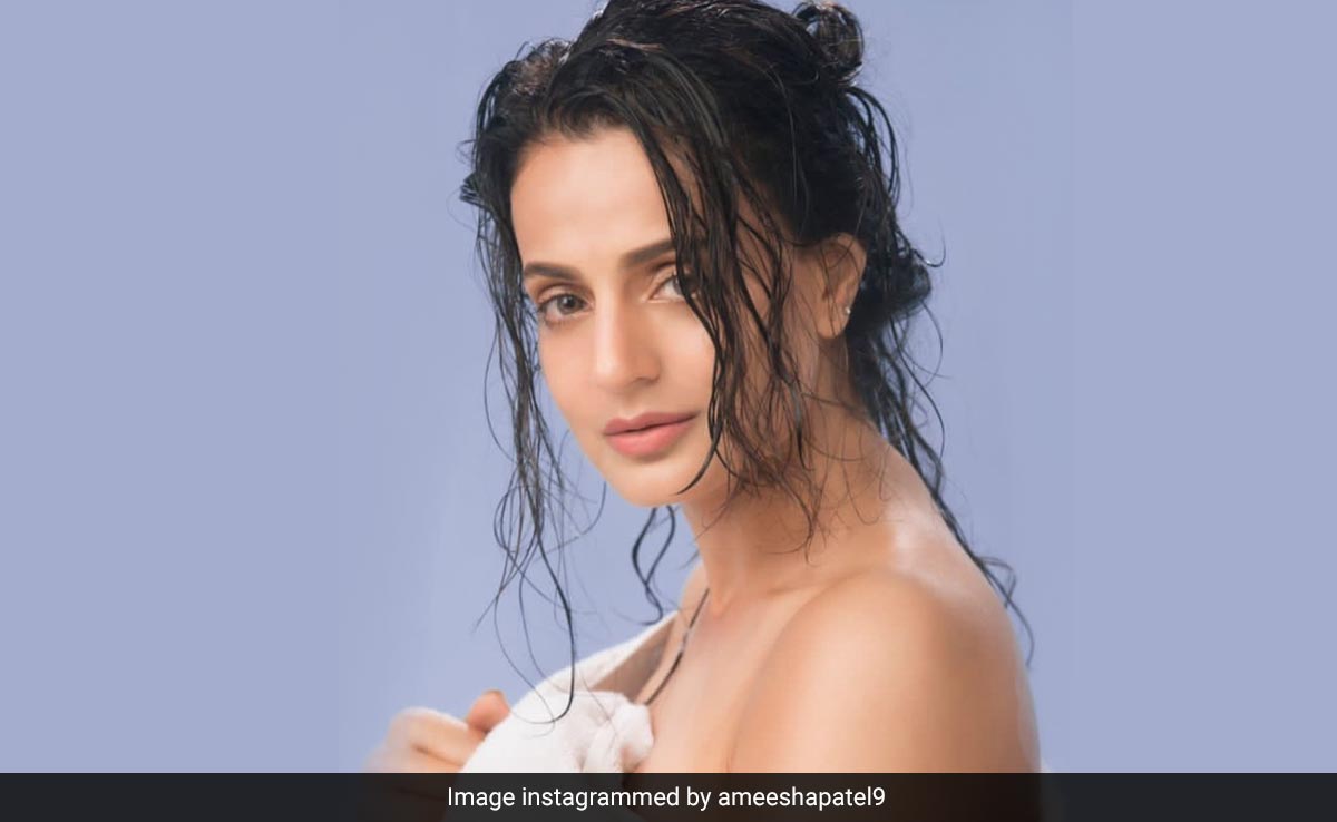 Ameesha Patel Was Not Even Aware That She Was "Offered" <i>Chalte Chalte</i> Opposite Shah Rukh Khan
