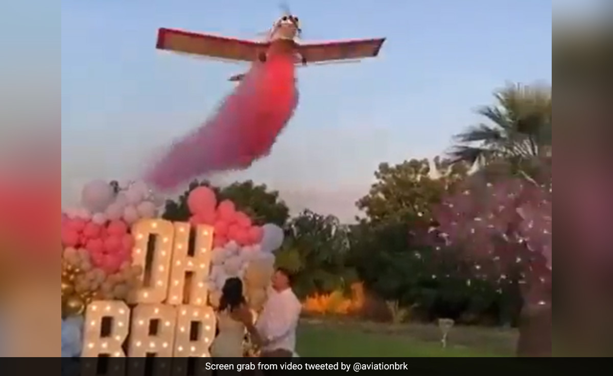 Video: Gender Reveal Party Turns Deadly As Plane Crashes In Front Of Guests In Mexico
