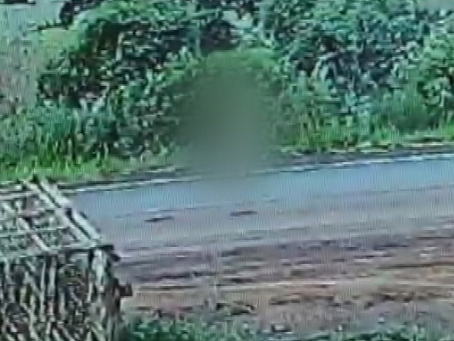Girl Raped In Madhya Pradesh: Latest News, Photos, Videos on Girl ...