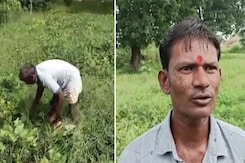 Madhya Pradesh के Niwari में बारिश से बर्बाद हुई किसानों की फसलें Madhya Pradesh के Niwari में बारिश से बर्बाद हुई किसानों की फसलें