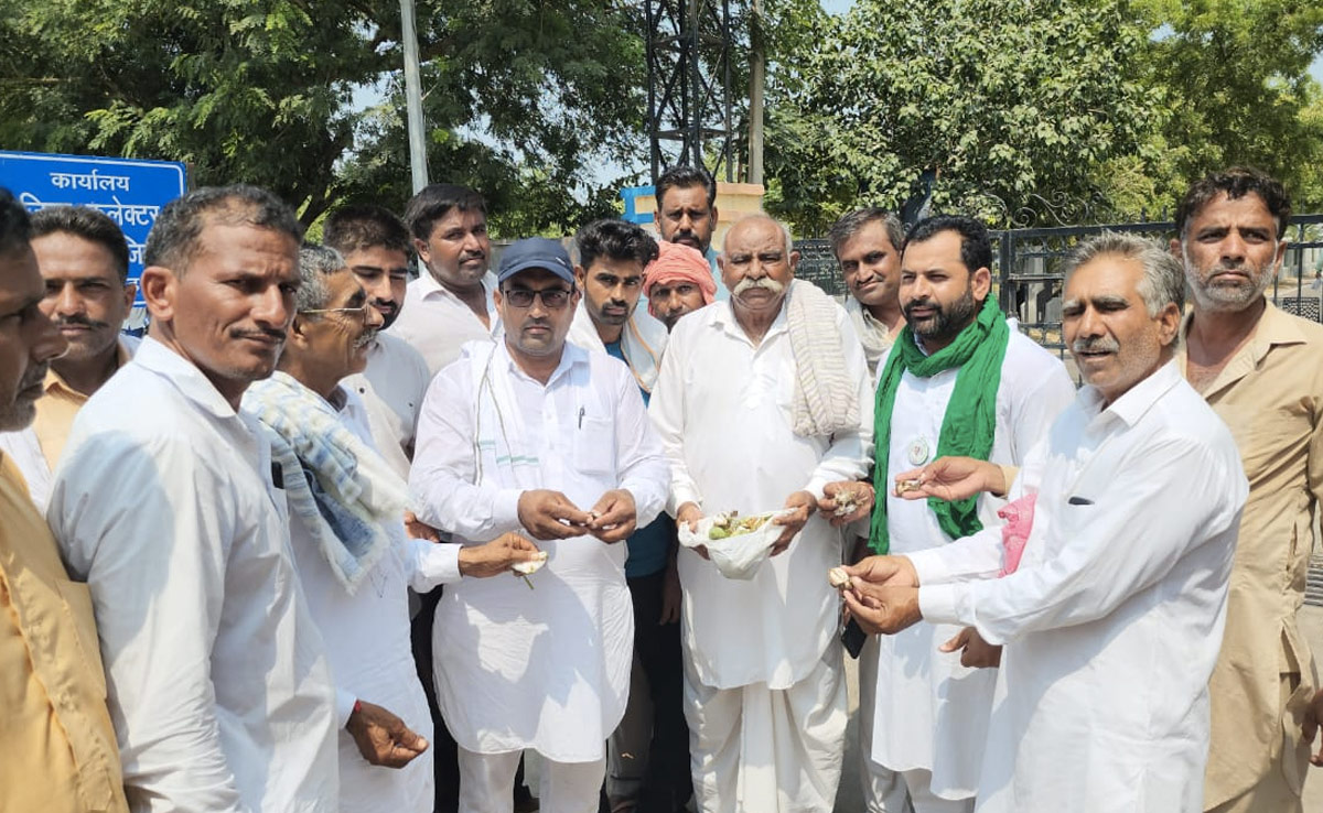 बीटी बीज के नाम पर किसानों से धोखा, 99 फीसदी किसानों की नरमा की फसल बर्बाद