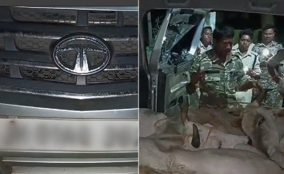 बलरामपुर : गौ तस्करों की हिमाकत तो देखिए ! पुलिस ने रोका तो गाड़ी से कुचलने का किया प्रयास