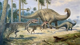 Dinosaur-Killing Asteroid Formed Beyond Jupiters Orbit, Say Scientists