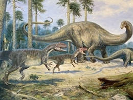 Dinosaur-Killing Asteroid Formed Beyond Jupiters Orbit, Say Scientists Dinosaur-Killing Asteroid Formed Beyond Jupiters Orbit, Say Scientists