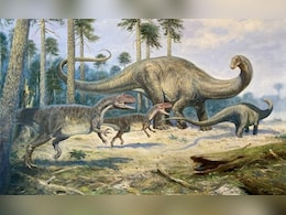 डायनासोर की 29 करोड़ वर्ष पुरानी विरासत पर संकट, एशिया के सबसे बड़े जीवाश्म पार्क में संरक्षण की अनदेखी