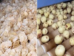 Video Shows Making Of Potato Chips In Factory: "Where's The Air?" Asks Internet Video Shows Making Of Potato Chips In Factory: "Where's The Air?" Asks Internet