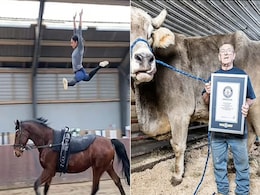 एक हिप्पो बराबर खाना खाने वाले बैल समेत इन अजीबोगरीब कारनामों को मिली गिनीज वर्ल्ड रिकॉर्ड में जगह एक हिप्पो बराबर खाना खाने वाले बैल समेत इन अजीबोगरीब कारनामों को मिली गिनीज वर्ल्ड रिकॉर्ड में जगह