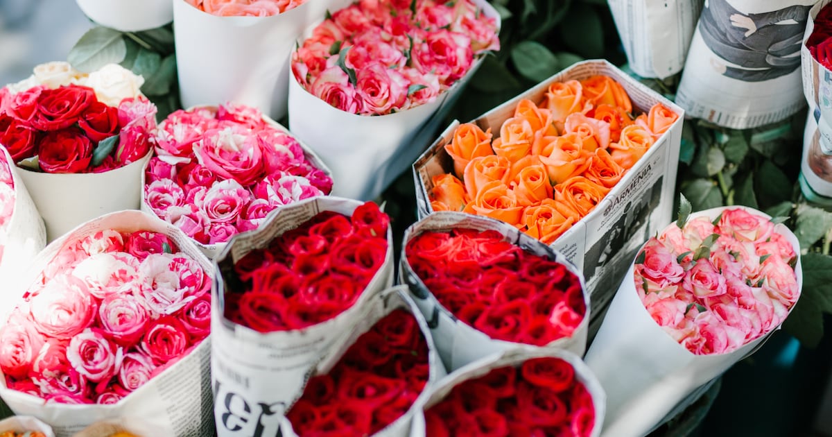 7 Types Of Roses And Their Uses