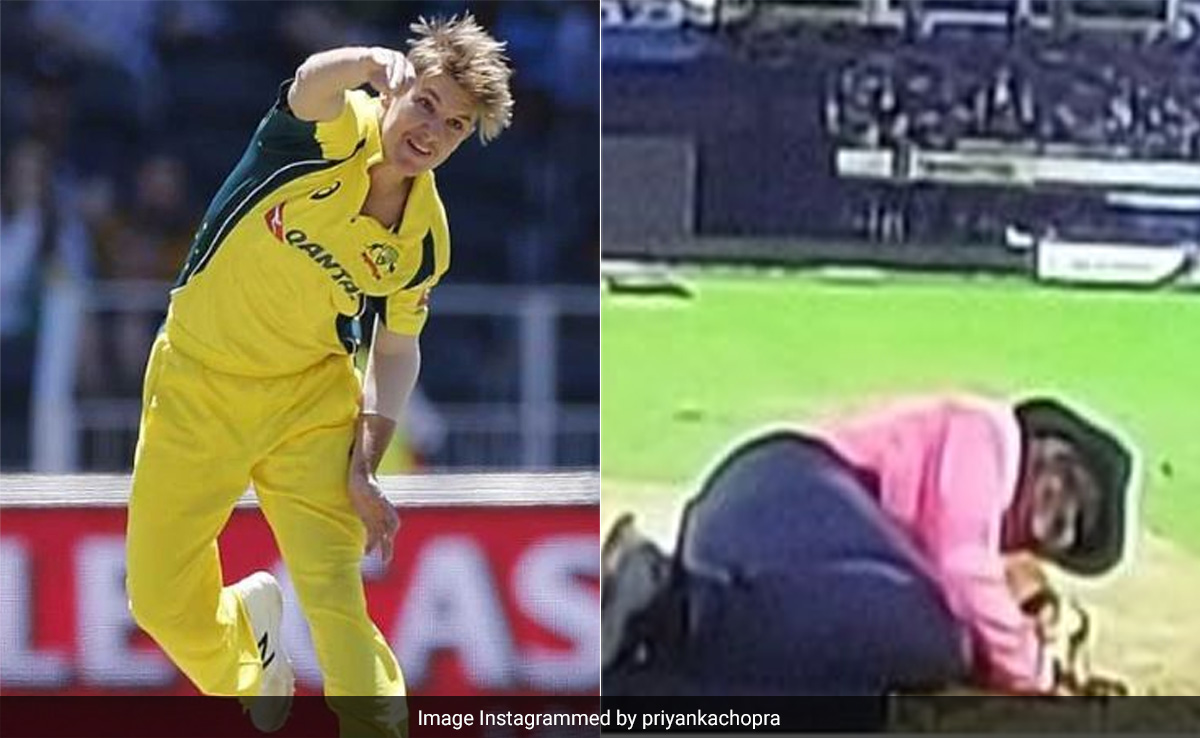 भारत के खिलाफ मैच के दौरान Adam Zampa की बदौलत बाल-बाल बचा अंपायर, वायरल हुआ VIDEO