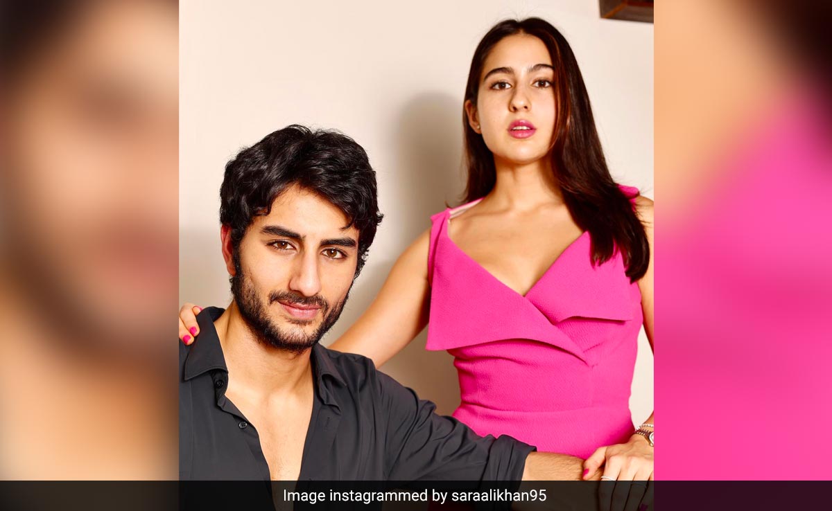 Sara And Ibrahim, "Amrita Singh And Saif Ali Khan Of The Multiverse." See Comments On Her Post