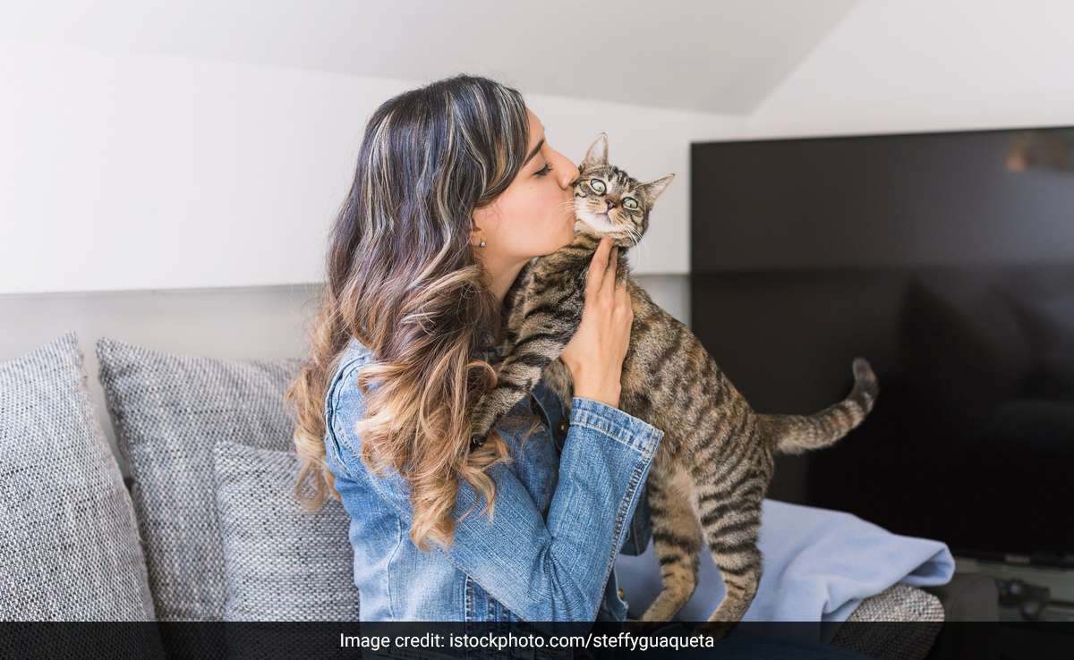 Is It Okay To Kiss Your Pet? How Animal-Borne Diseases Are A Real Threat