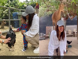 परिणीति की शादी में ना आने की खबरों के बीच प्रियंका चोपड़ा ने बेटी मालती के साथ शेयर किया वीडियो, बहन के लिए लिखा खास मैसेज परिणीति की शादी में ना आने की खबरों के बीच प्रियंका चोपड़ा ने बेटी मालती के साथ शेयर किया वीडियो, बहन के लिए लिखा खास मैसेज