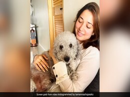 Tamannaah's "Snuggle Is Real" Post Is Absolutely Paw-Dorable Tamannaah's "Snuggle Is Real" Post Is Absolutely Paw-Dorable