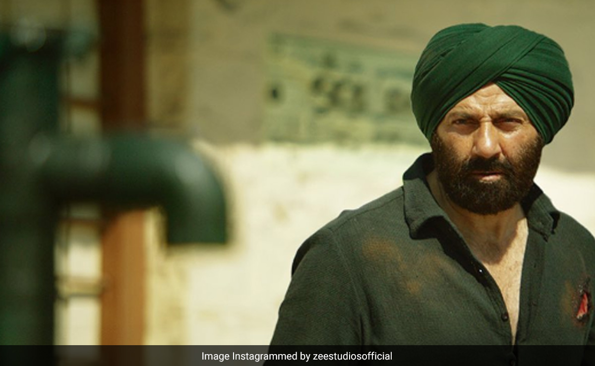 Gadar 2 Box Office Collection Day 43: सनी देओल की गदर 2 अभी भी बना है फैंस के लिए ऑप्शन, 43वें दिन भी कमाई इतनी रकम