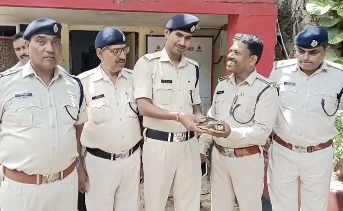 Katni: &nbsp;ट्रेन के AC कोच पर मिला दुर्लभ प्रजाति का कछुआ, RPF ने वन विभाग को सौंपा