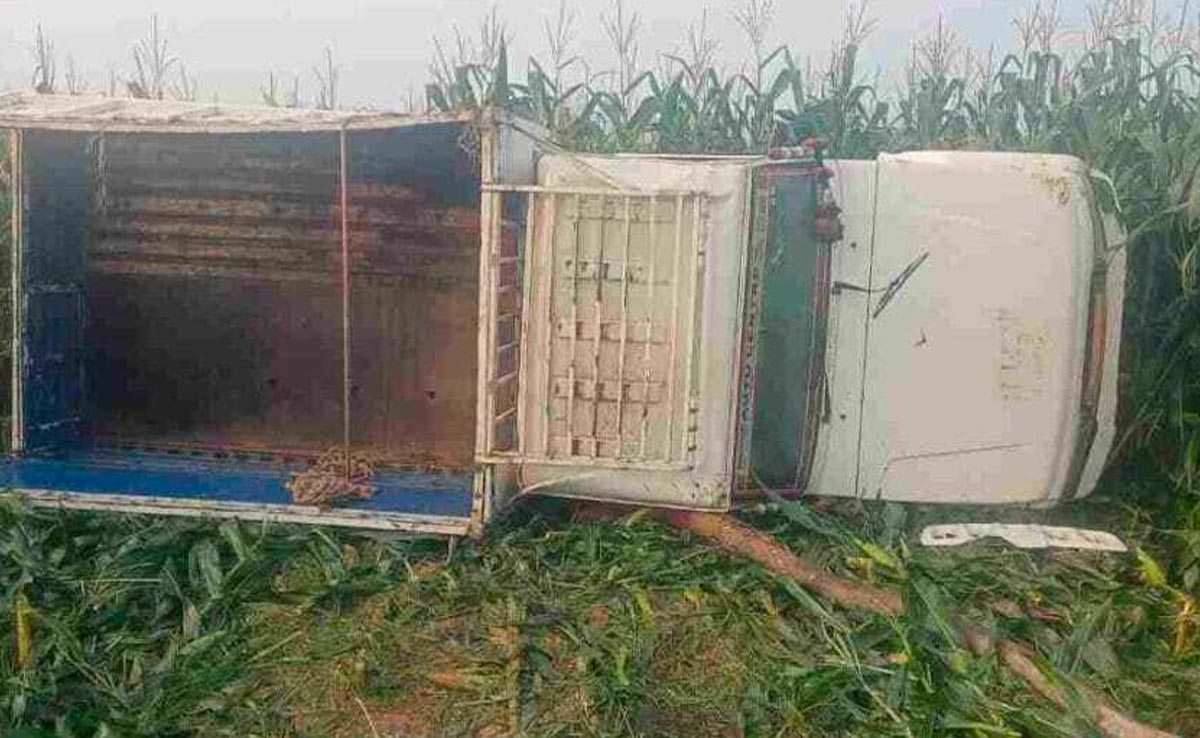 Jashpur : मंडी में सब्जी बेचकर लौट रही पिकअप पलटी, चालक की मौत