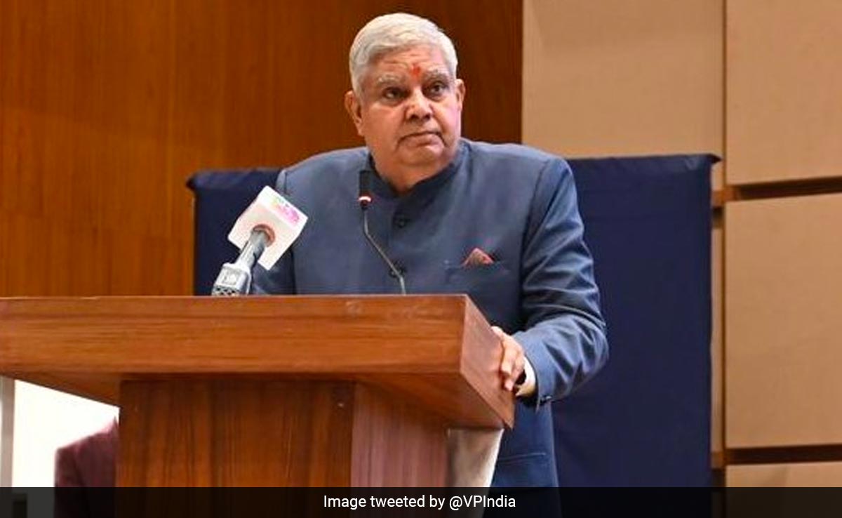 "Must Not Look At Constitutional Functionaries With Political Prism": Vice President