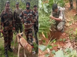 सीआरपीएफ और छत्तीसगढ़ पुलिस की बड़ी कामयाबी, 6 किलो IED की बरामद सीआरपीएफ और छत्तीसगढ़ पुलिस की बड़ी कामयाबी, 6 किलो IED की बरामद