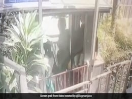Glass Elevator Plunges 100 Metres In Bali As Cables Snap, 5 Killed Glass Elevator Plunges 100 Metres In Bali As Cables Snap, 5 Killed