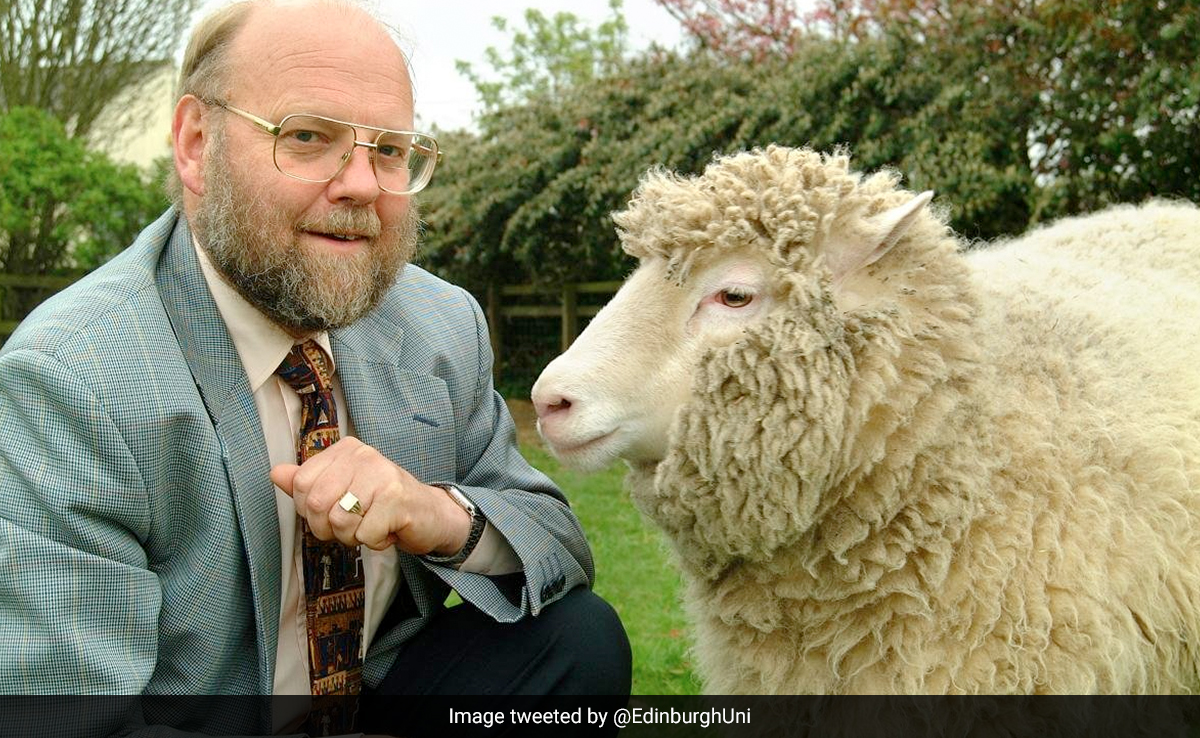 Ian Wilmut, Creator Of World's First Cloned Sheep, Dies: Here's How He Did It