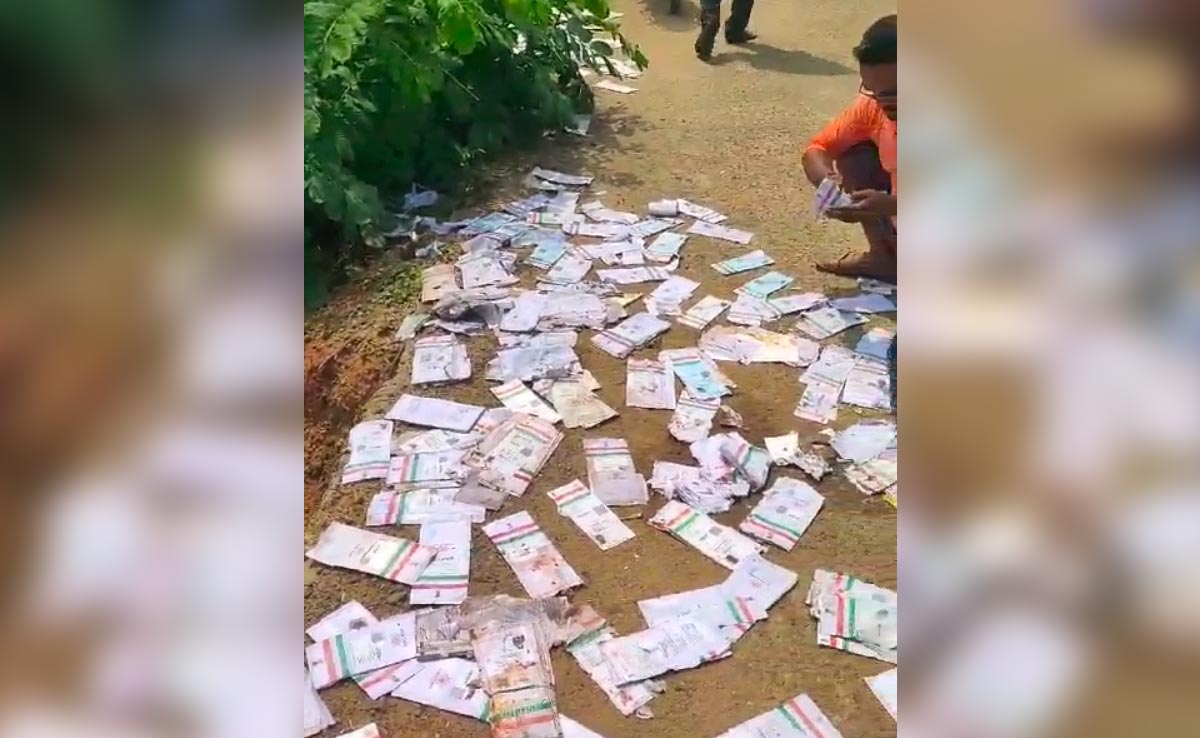 Katni News: तालाब में मिले सैकड़ों लावारिस आधार कार्ड, एडीएम ने दिए जांच के आदेश