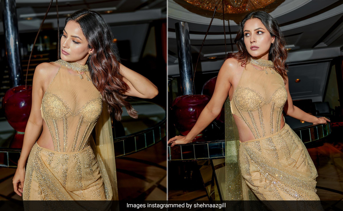 All That Glitters Is Shehnaaz Gill In A Golden Cutout Tarun Tahiliani Outfit