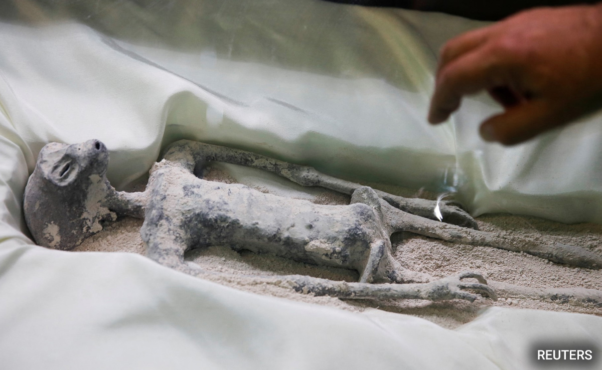 Missed UFO Hearing In Mexico? Here's A Better Look At The Alien Bodies